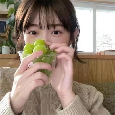 寻找阿尔塔米拉