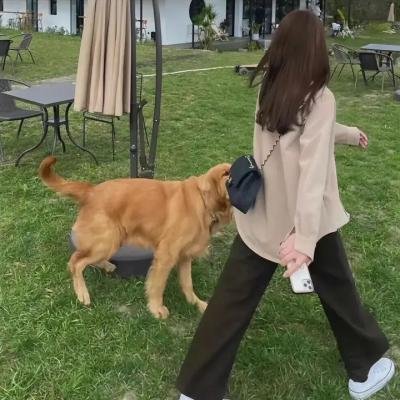 副总统第四季
